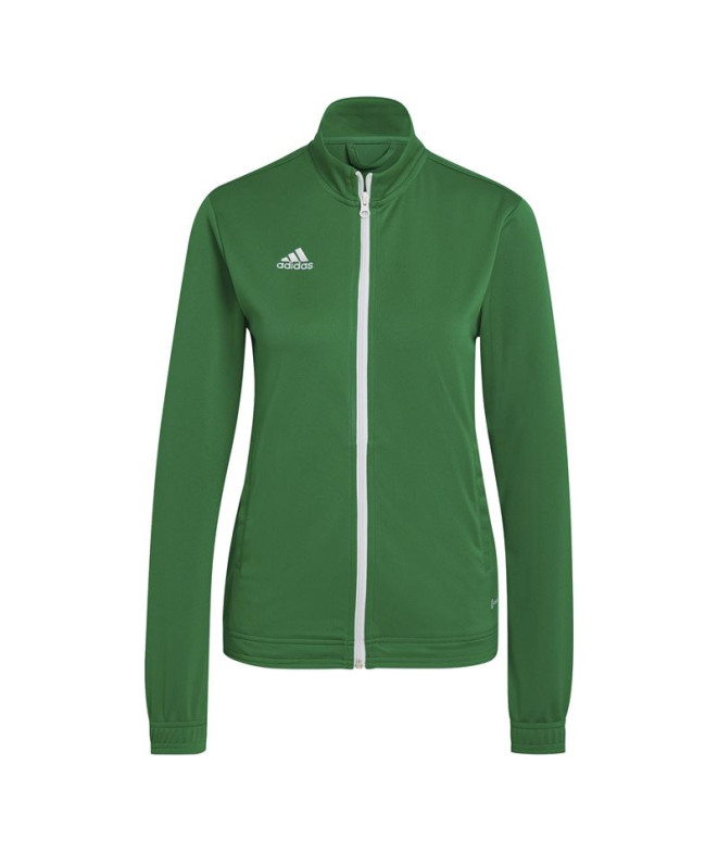 Casaco de futebol adidas Entrada 22 Mulher Verde