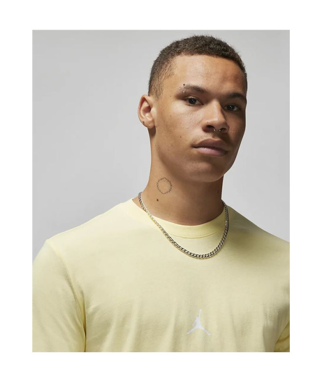 Camiseta Nike Jordan Essentials Flight 23...