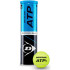 Tubo de Pelotas de Tenis Dunlop ATP Official