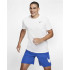 Camiseta Nike Dri-FIT Hombre WH