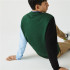 Sweatshirt Lacoste Men's Fleece Green
