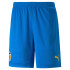 Puma VCF 3rd Team Réplica Calças Homem Azul