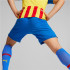 Puma VCF 3rd Team Réplica Calças Homem Azul