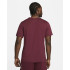 Camiseta basquetebol Nike Homem de Gianni Purple