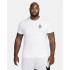 Camiseta basquetebol Nike Homem de LeBron White