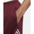 Calça basquetebol Nike Homem de Gianni Purple