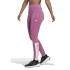 Collants adidas Bluv Q4 Women Purple