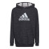 Sudadera con Capucha adidas Future Badge Infantil BK