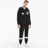 Chaqueta Puma Ess Big Logo Fzod Hombre