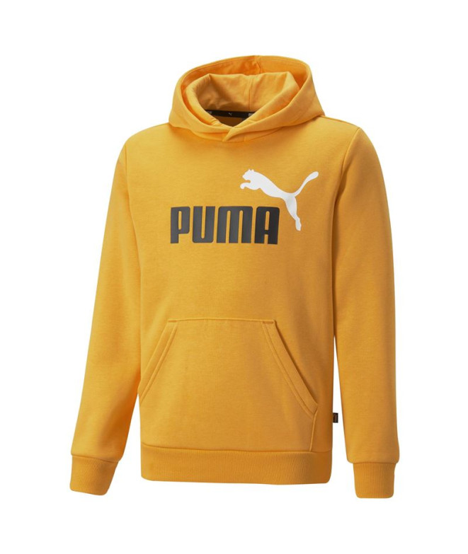 Sweat à capuche Puma Essentials+ Kids