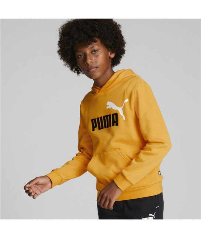 Camisola com capuz Puma Essentials+ Kids