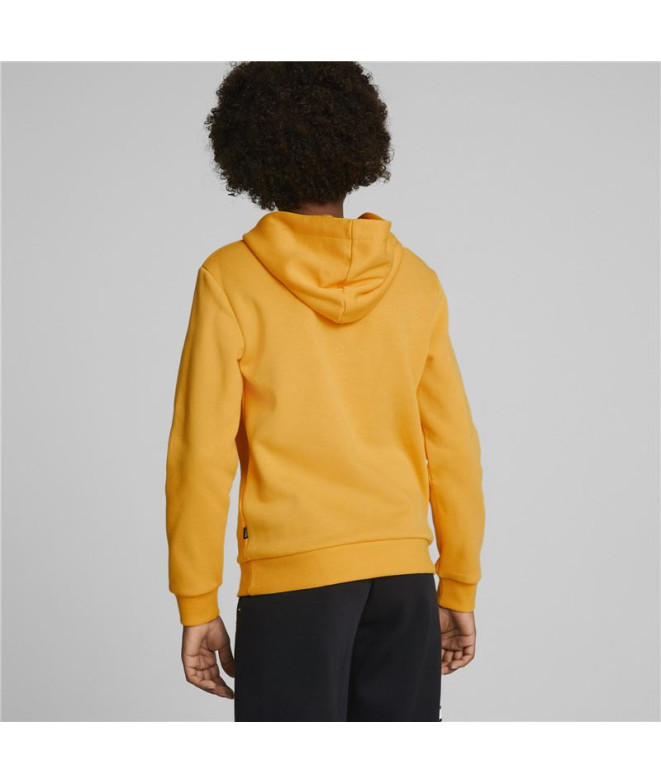 Camisola com capuz Puma Essentials+ Kids