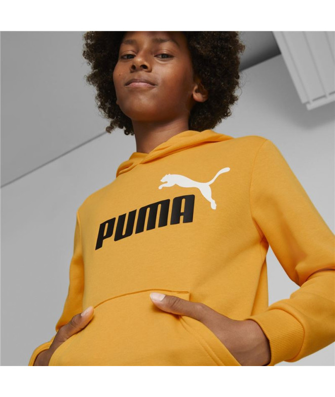 Camisola com capuz Puma Essentials+ Kids