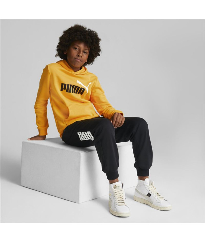 Sweat à capuche Puma Essentials+ Kids