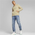 Sudadera con Capucha Puma Essential Hombre BG