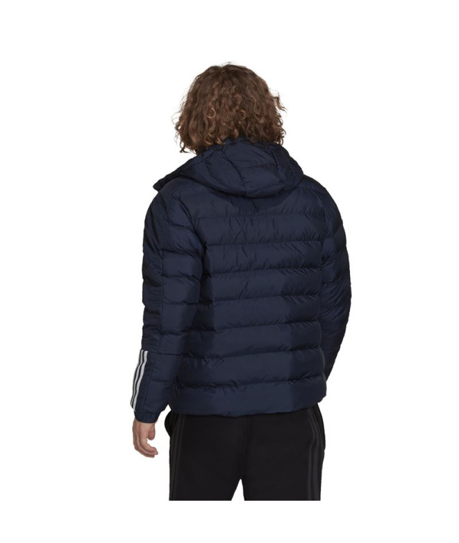 Veste Montagne adidas de l'ItavicH Homme