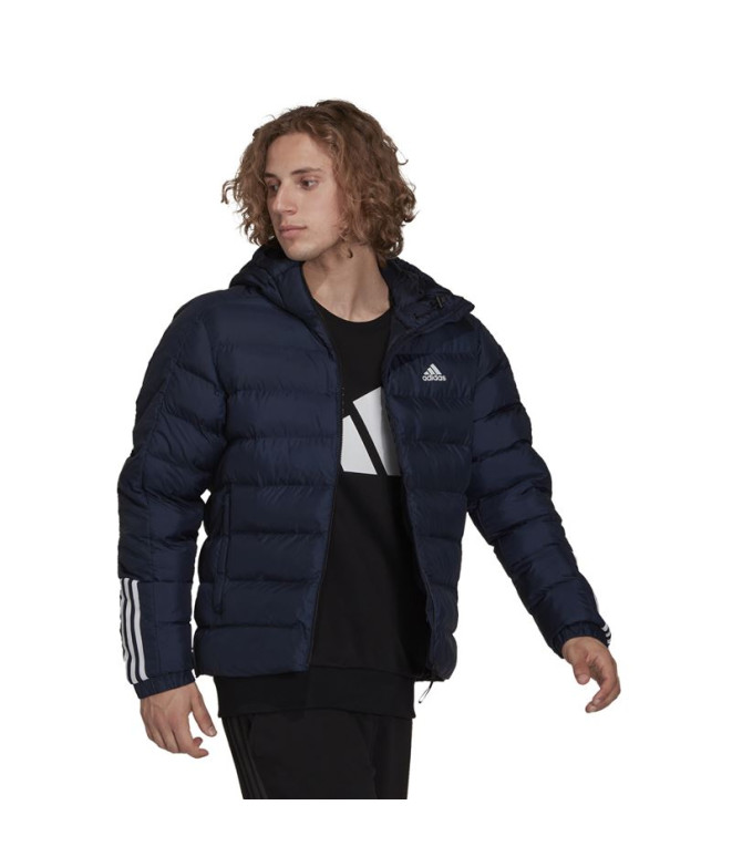 Veste Montagne adidas de l'ItavicH Homme