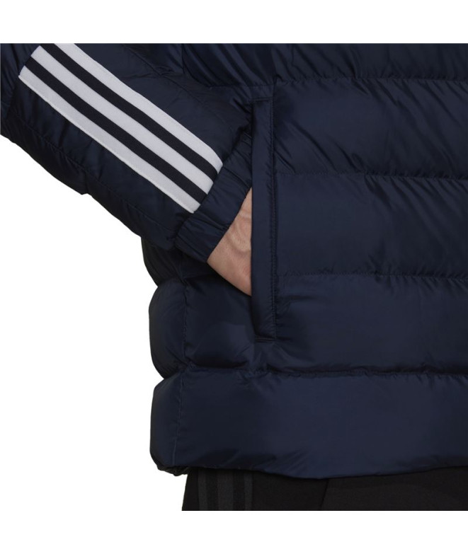 Veste Montagne adidas de l'ItavicH Homme