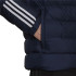Chaqueta de Montaña adidas ItavicH Hombre