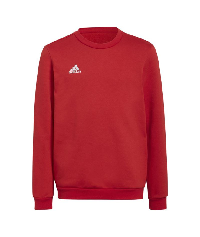 Sweatshirt de futebol adidas Ent22 Topy Kids