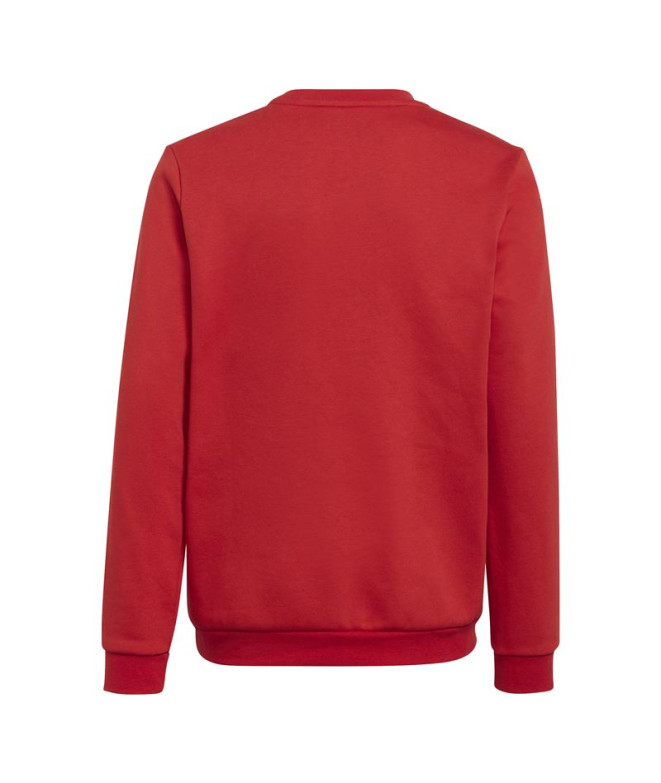 Sweatshirt de futebol adidas Ent22 Topy Kids