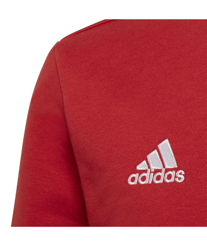 Sweatshirt de futebol adidas Ent22 Topy Kids
