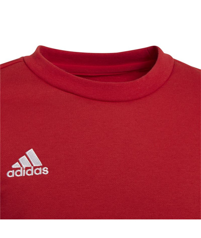 Sweatshirt de futebol adidas Ent22 Topy Kids