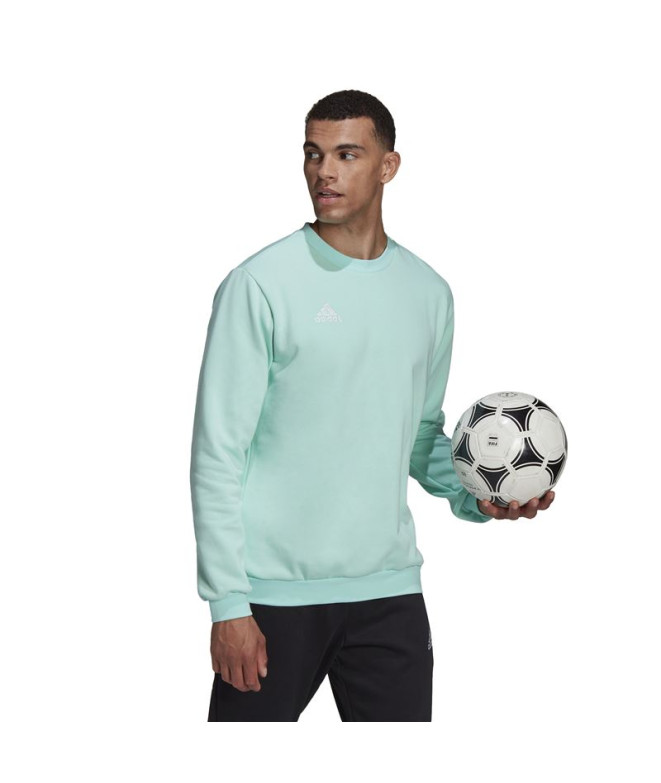 Moletom de Futebol adidas Ent22 Camiseta Homem