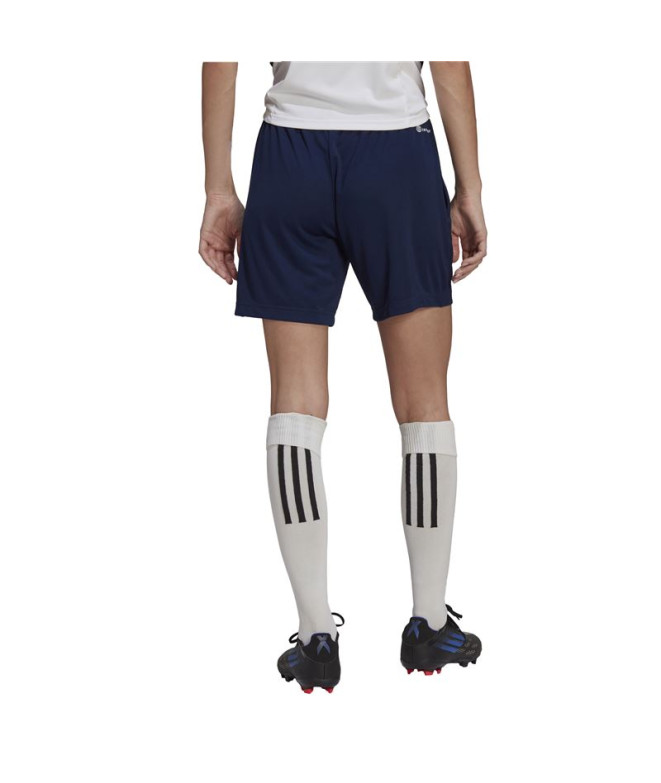 Pantalones de Fútbol adidas Ent22 Tr Lw Mujer