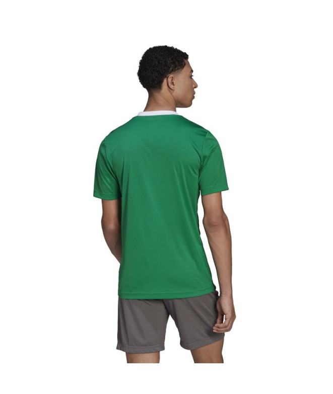 Camiseta de Fútbol adidas Ent22 Hombre