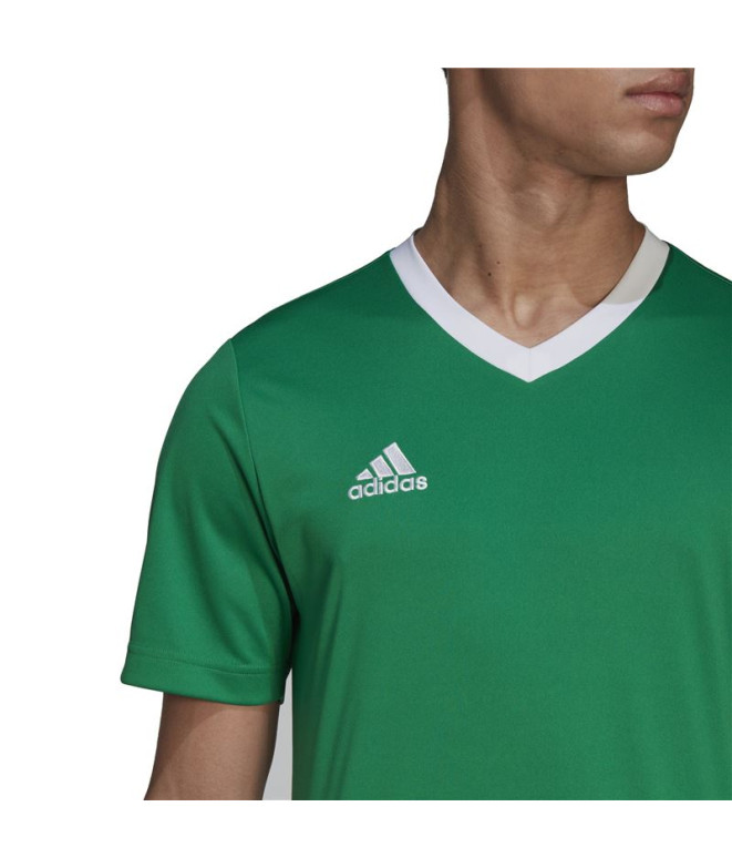 Camiseta de Fútbol adidas Ent22 Hombre