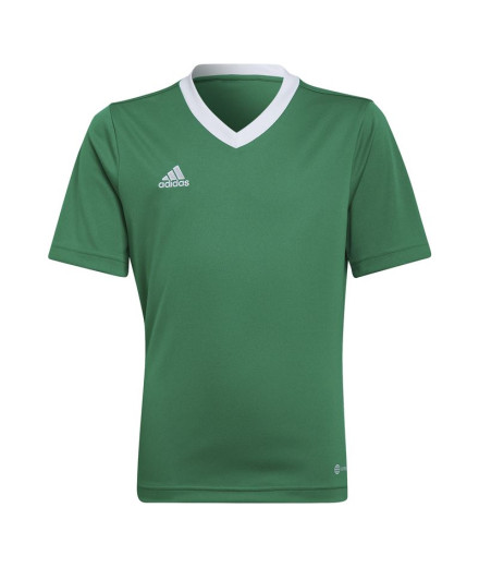 Camiseta de Fútbol adidas Ent22 Y Infantil