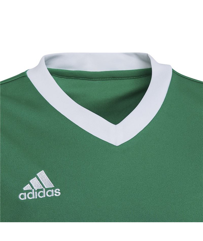 Camisola de futebol adidas Ent22 e camisola de...