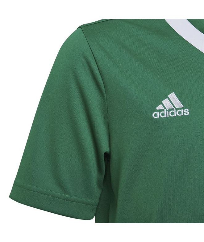 Maillot de football adidas Ent22 et maillot de...