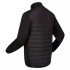 Veste Regatta ClumberIII Hybrid Man BK