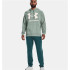 Sudadera Under Armour Rival Big Logo verde Hombre