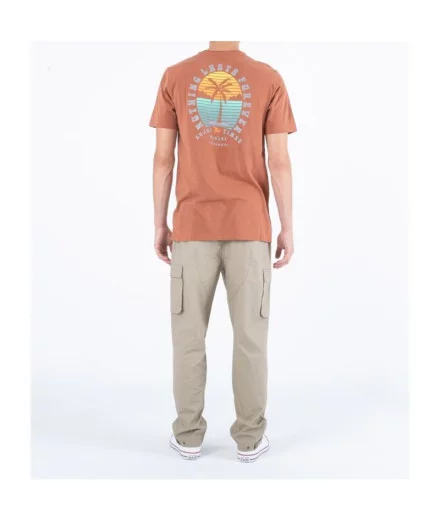 Calças de skate Hurley Cruiser Cargo Homem 2