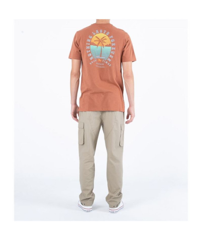 Calças de skate Hurley Cruiser Cargo Homem