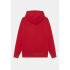 Sudadera Nike Jordan Jumpman rojo infantil
