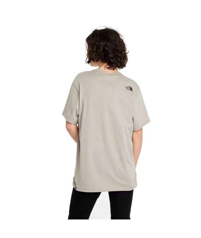 Mountain T-Shirt The North Face Fine Grey Hommes