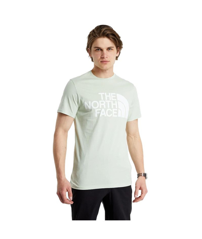 Mountain T-Shirt The North Face Basic Logo Green Hommes