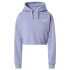 Sudadera de Montaña The North Face Logo Lila Mujer
