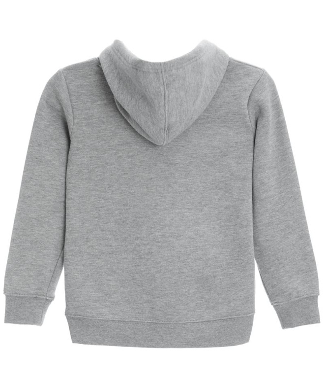 Sweatshirt Nike Metallic HBR Gifting Cinzento...