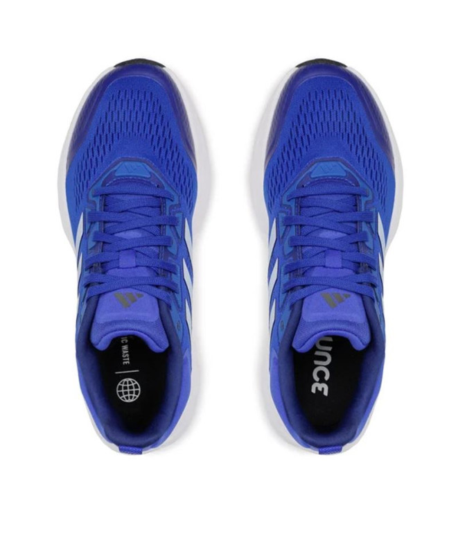 Chaussures de running adidas Questar Hommes Bleu