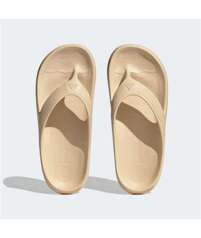 Tongs de Natation adidas Adicane Beige