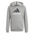 Sudadera adidas Essentials Two Colored Big Logo Gris Infantil