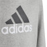Sudadera adidas Essentials Two Colored Big Logo Gris Infantil