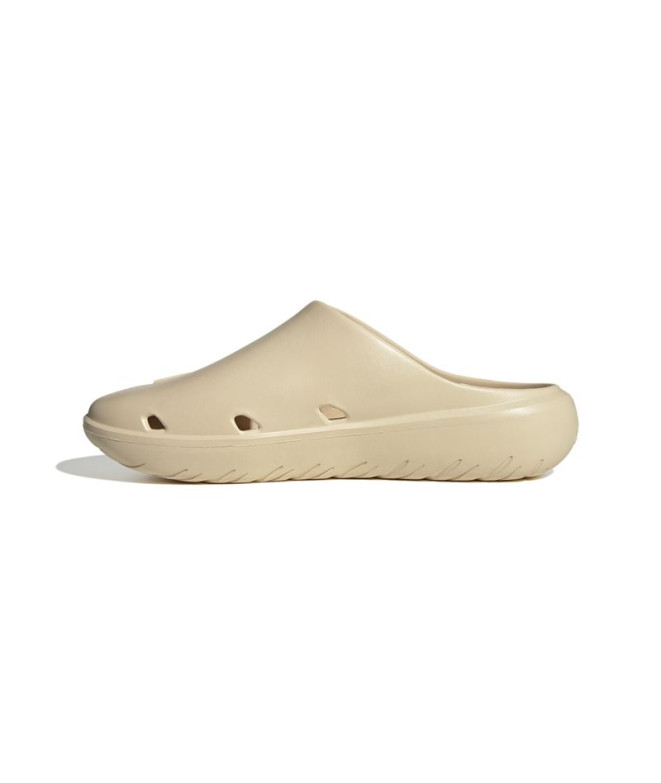 Tongs de natation adidas Adicane Hommes Beige