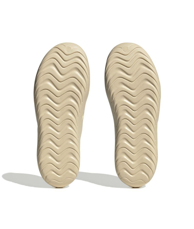 Chanclas de Natación adidas Adicane Beige Hombre