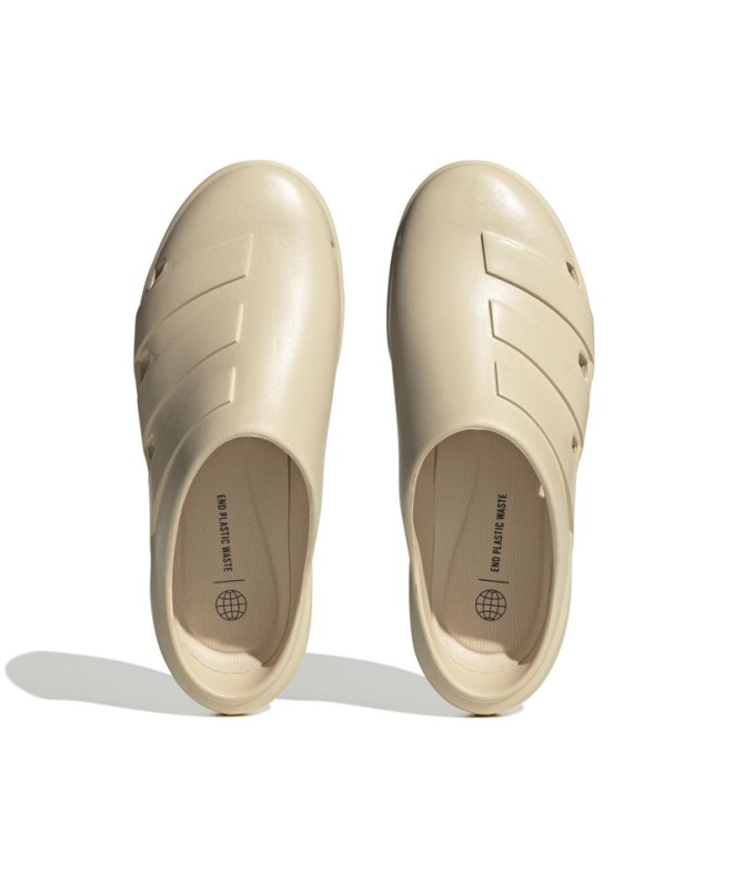Chanclas de Natación adidas Adicane Beige Hombre